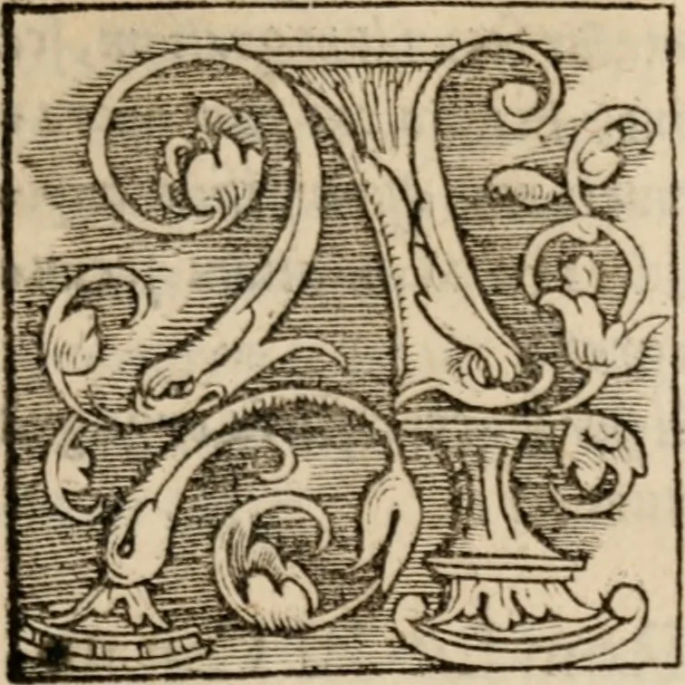 An illustration from Sentenciae ex doctoribvs collectae, qvas papistæ ualde impudenter hodie damnant, 1536, leaf 18