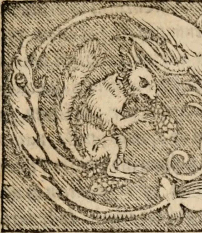 An illustration from Sentenciae ex doctoribvs collectae, qvas papistæ ualde impudenter hodie damnant, 1536, leaf 4