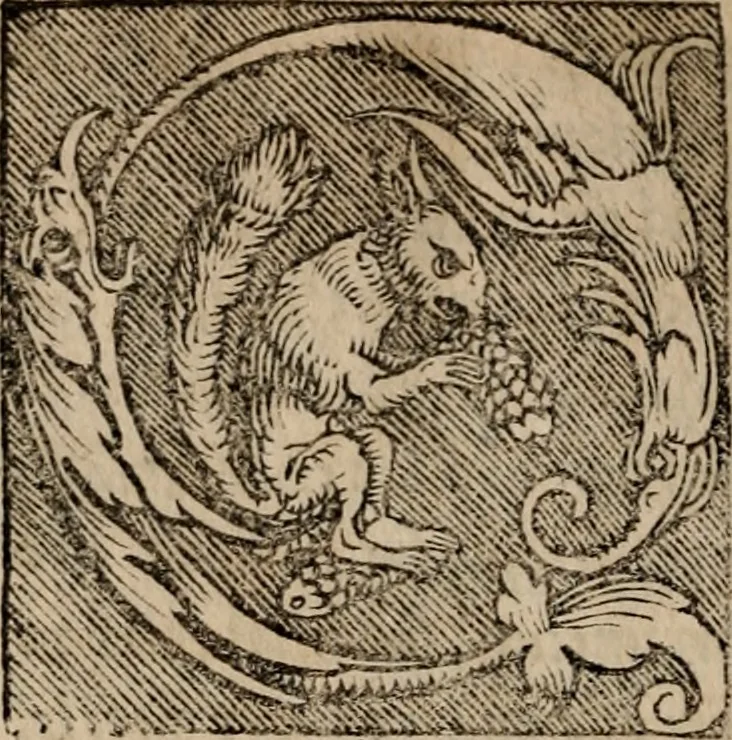 An illustration from Sentenciae ex doctoribvs collectae, qvas papistæ ualde impudenter hodie damnant, 1536, leaf 55