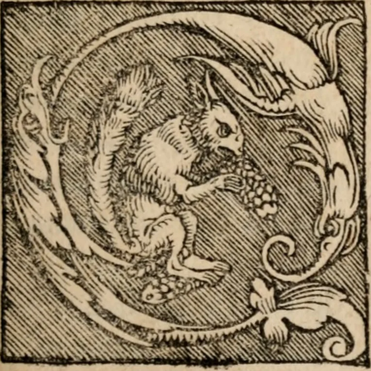 An illustration from Sentenciae ex doctoribvs collectae, qvas papistæ ualde impudenter hodie damnant, 1536, leaf 72