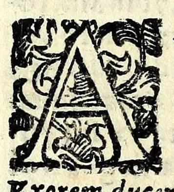 An illustration from Sententiae insignes Graecorum quinquag. comicorum, quorum opera integra non extant, Latino idiomate collectae : accessit vniuscuisq[ue] poetae vita accuratè conscripta, & Platonii fragmentum de comoedarium differentijs : poetarum nomina proximé praefationem sequuntur, 1612, leaf 146