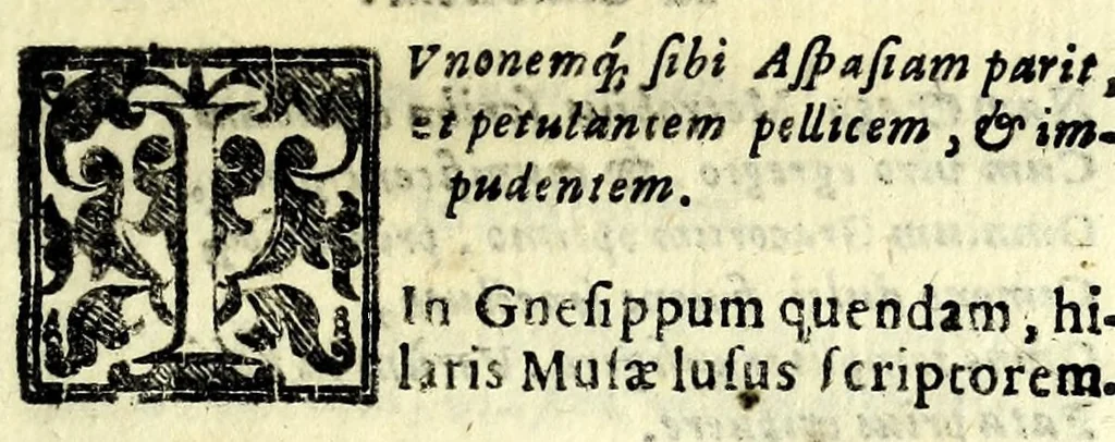 An illustration from Sententiae insignes Graecorum quinquag. comicorum, quorum opera integra non extant, Latino idiomate collectae : accessit vniuscuisq[ue] poetae vita accuratè conscripta, & Platonii fragmentum de comoedarium differentijs : poetarum nomina proximé praefationem sequuntur, 1612, leaf 161