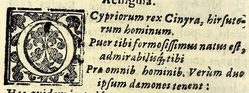 An illustration from Sententiae insignes Graecorum quinquag. comicorum, quorum opera integra non extant, Latino idiomate collectae : accessit vniuscuisq[ue] poetae vita accuratè conscripta, & Platonii fragmentum de comoedarium differentijs : poetarum nomina proximé praefationem sequuntur, 1612, leaf 166