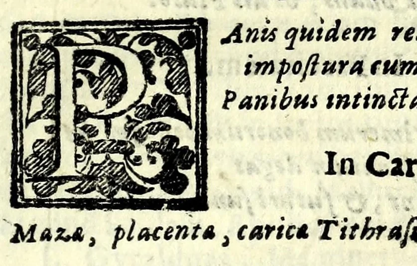 An illustration from Sententiae insignes Graecorum quinquag. comicorum, quorum opera integra non extant, Latino idiomate collectae : accessit vniuscuisq[ue] poetae vita accuratè conscripta, & Platonii fragmentum de comoedarium differentijs : poetarum nomina proximé praefationem sequuntur, 1612, leaf 197