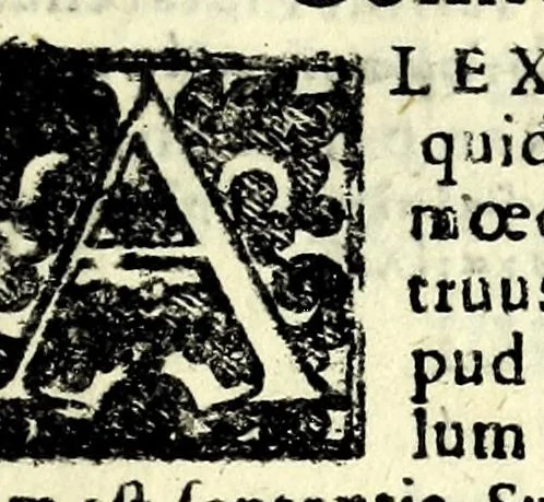 An illustration from Sententiae insignes Graecorum quinquag. comicorum, quorum opera integra non extant, Latino idiomate collectae : accessit vniuscuisq[ue] poetae vita accuratè conscripta, & Platonii fragmentum de comoedarium differentijs : poetarum nomina proximé praefationem sequuntur, 1612, leaf 201