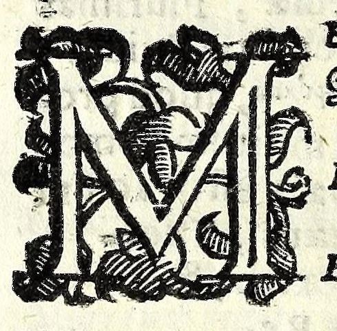 An illustration from Sententiae insignes Graecorum quinquag. comicorum, quorum opera integra non extant, Latino idiomate collectae : accessit vniuscuisq[ue] poetae vita accuratè conscripta, & Platonii fragmentum de comoedarium differentijs : poetarum nomina proximé praefationem sequuntur, 1612, leaf 298