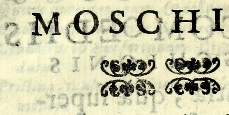 An illustration from Sententiae insignes Graecorum quinquag. comicorum, quorum opera integra non extant, Latino idiomate collectae : accessit vniuscuisq[ue] poetae vita accuratè conscripta, & Platonii fragmentum de comoedarium differentijs : poetarum nomina proximé praefationem sequuntur, 1612, leaf 309