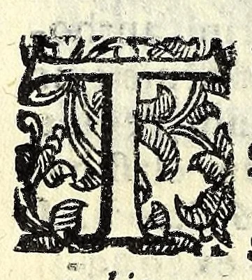 An illustration from Sententiae insignes Graecorum quinquag. comicorum, quorum opera integra non extant, Latino idiomate collectae : accessit vniuscuisq[ue] poetae vita accuratè conscripta, & Platonii fragmentum de comoedarium differentijs : poetarum nomina proximé praefationem sequuntur, 1612, leaf 310