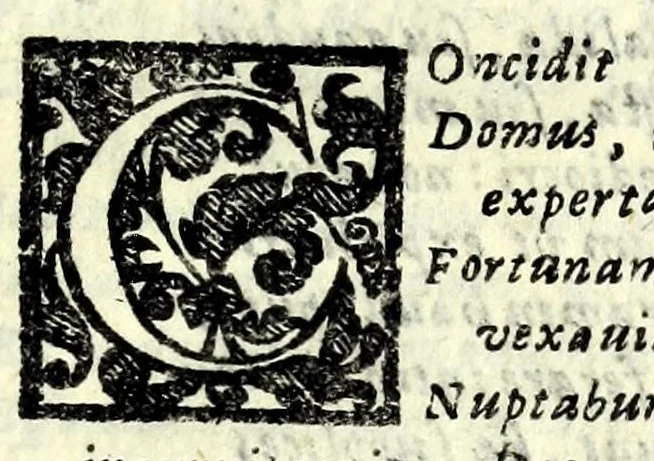 An illustration from Sententiae insignes Graecorum quinquag. comicorum, quorum opera integra non extant, Latino idiomate collectae : accessit vniuscuisq[ue] poetae vita accuratè conscripta, & Platonii fragmentum de comoedarium differentijs : poetarum nomina proximé praefationem sequuntur, 1612, leaf 325