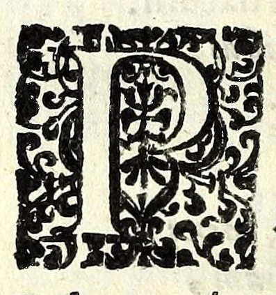 An illustration from Sententiae insignes Graecorum quinquag. comicorum, quorum opera integra non extant, Latino idiomate collectae : accessit vniuscuisq[ue] poetae vita accuratè conscripta, & Platonii fragmentum de comoedarium differentijs : poetarum nomina proximé praefationem sequuntur, 1612, leaf 350