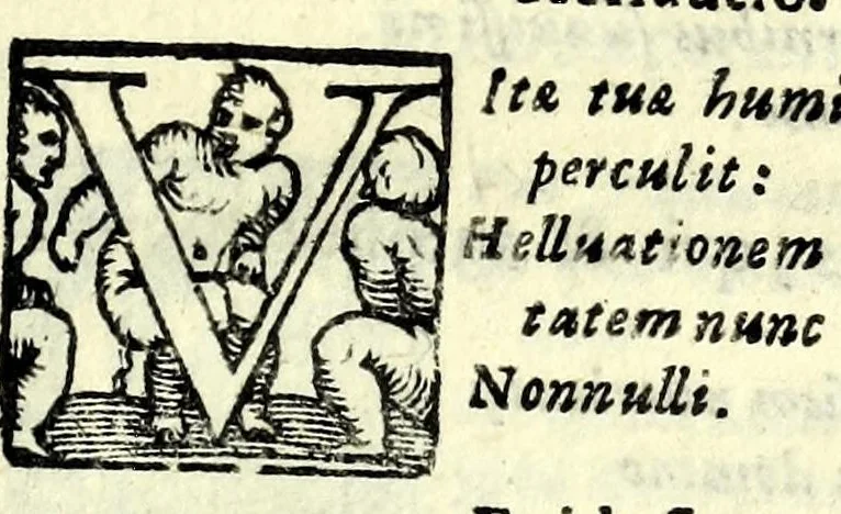 An illustration from Sententiae insignes Graecorum quinquag. comicorum, quorum opera integra non extant, Latino idiomate collectae : accessit vniuscuisq[ue] poetae vita accuratè conscripta, & Platonii fragmentum de comoedarium differentijs : poetarum nomina proximé praefationem sequuntur, 1612, leaf 351