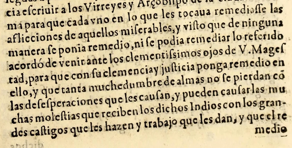 An illustration from Señor. Luis de Salazar protector y defensor general de las Indias de las Prouincias de Tucuman dize, que ha muchos años que sirue este oficio ., 1592, leaf 9