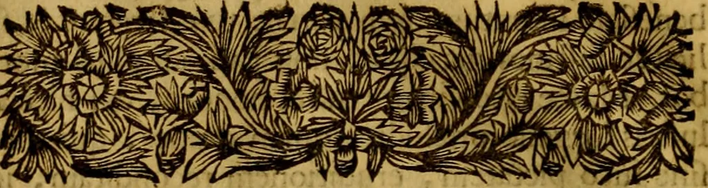 An illustration from Septem Asiae ecclesiarum et Constantinopoleos notitia, 1694, leaf 129