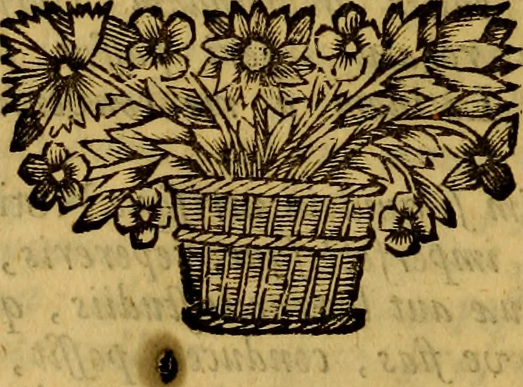 An illustration from Septem Asiae ecclesiarum et Constantinopoleos notitia, 1694, leaf 17