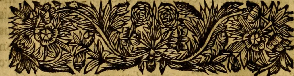 An illustration from Septem Asiae ecclesiarum et Constantinopoleos notitia, 1694, leaf 83