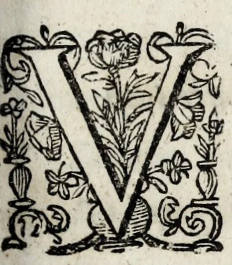 An illustration from Septem illustrium virorum poemata, 1660, leaf 269