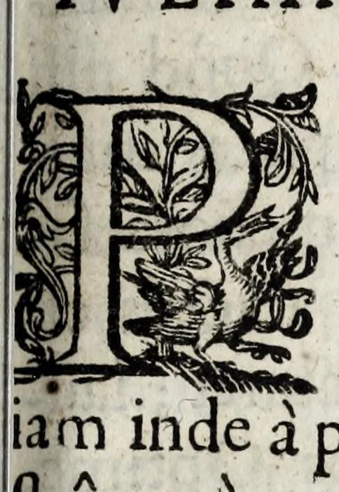 An illustration from Septem illustrium virorum poemata, 1660, leaf 285