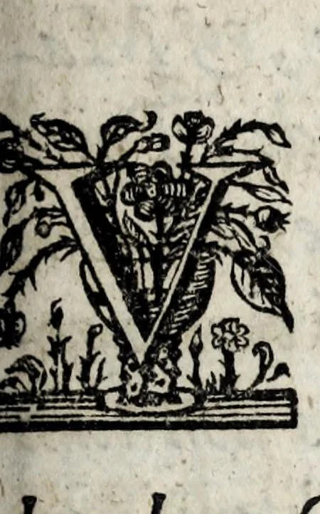 An illustration from Septem illustrium virorum poemata, 1660, leaf 289