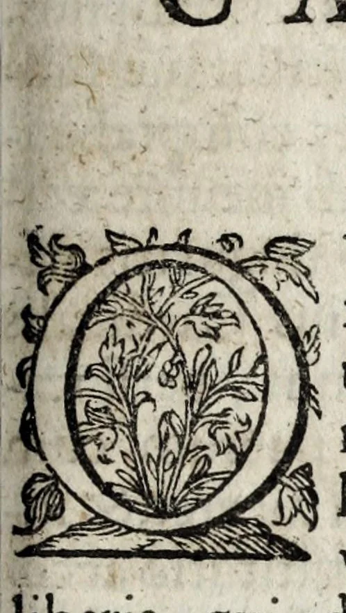 An illustration from Septem illustrium virorum poemata, 1660, leaf 291