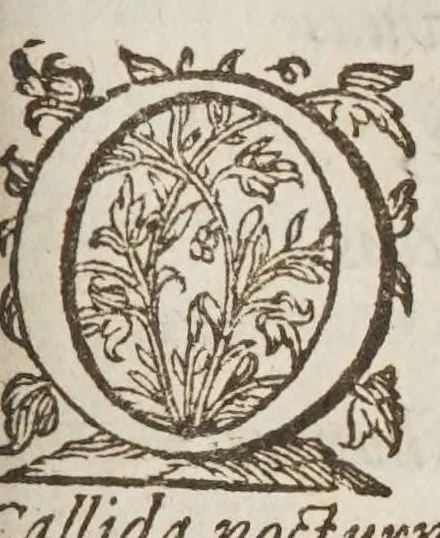 An illustration from Septem illustrium virorum poemata, 1662, leaf 223