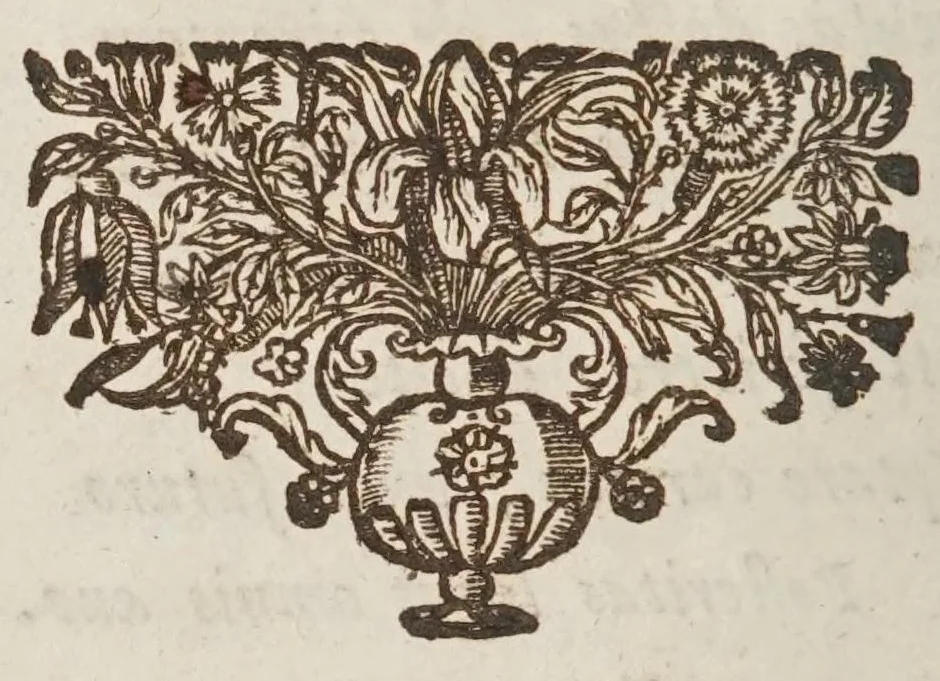 An illustration from Septem illustrium virorum poemata, 1662, leaf 236