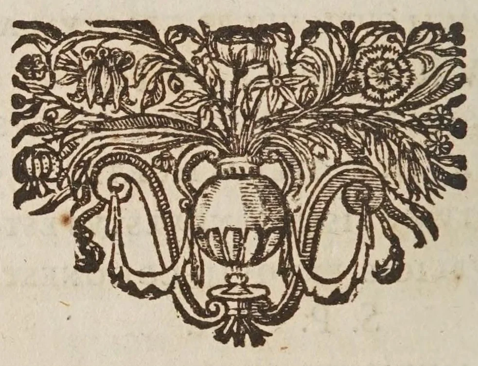 An illustration from Septem illustrium virorum poemata, 1662, leaf 302