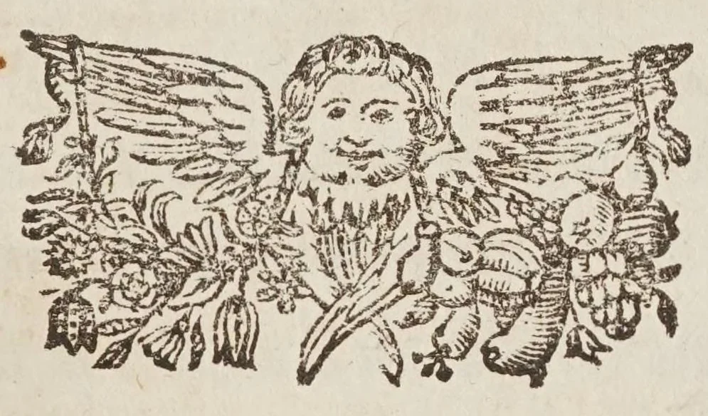An illustration from Septem illustrium virorum poemata, 1662, leaf 389