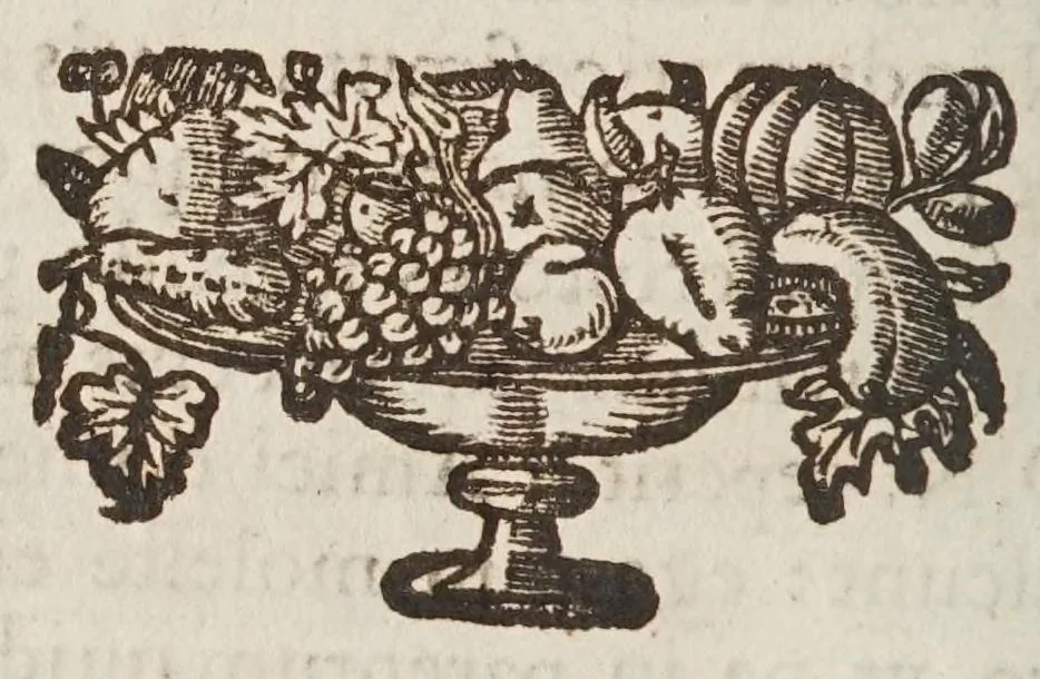 An illustration from Septem illustrium virorum poemata, 1662, leaf 420
