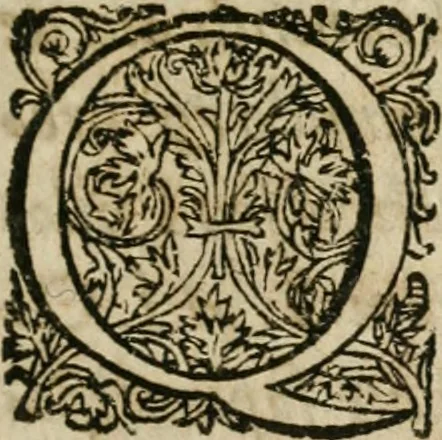 An illustration from Septimana philosophica : qua aenigmata avreola de omni natvrae genere a Salomone Israëlitarum sapientissimo rege, & Arabiae regina Saba, nec non Hyramo, Tyri principe, sibi inuicem in modum colloquii proponuntur & enodantur ..., 1620, leaf 10
