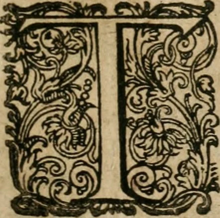 An illustration from Septimana philosophica : qua aenigmata avreola de omni natvrae genere a Salomone Israëlitarum sapientissimo rege, & Arabiae regina Saba, nec non Hyramo, Tyri principe, sibi inuicem in modum colloquii proponuntur & enodantur ..., 1620, leaf 110