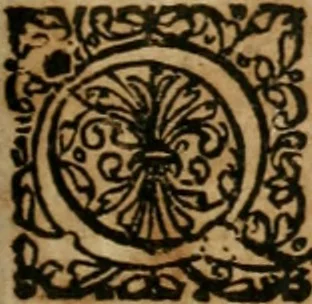 An illustration from Septimana philosophica : qua aenigmata avreola de omni natvrae genere a Salomone Israëlitarum sapientissimo rege, & Arabiae regina Saba, nec non Hyramo, Tyri principe, sibi inuicem in modum colloquii proponuntur & enodantur ..., 1620, leaf 156