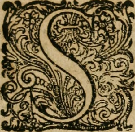 An illustration from Septimana philosophica : qua aenigmata avreola de omni natvrae genere a Salomone Israëlitarum sapientissimo rege, & Arabiae regina Saba, nec non Hyramo, Tyri principe, sibi inuicem in modum colloquii proponuntur & enodantur ..., 1620, leaf 42