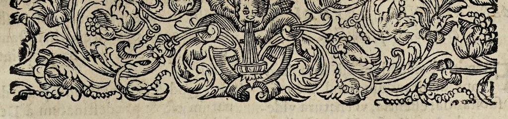 An illustration from Seqvvntvr varii articvli erronei omnivm pene facvltatvm, 1650, leaf 5