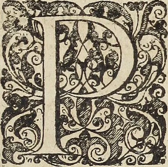 An illustration from Serenissimi et potentissimi principis Jacobi, Magnae Britanniae, Franciae, et Hiberniae, regis, fidei defensoris, Opera, 1689, leaf 24