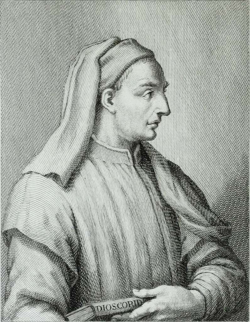 An illustration from Serie degli uomini i più illustri nella pittura, scultura, e architettura : con i loro elogi, e ritratti incisi in rame cominciando dalla sua prima restaurazione fino ai tempi presenti .., 1769, leaf 103
