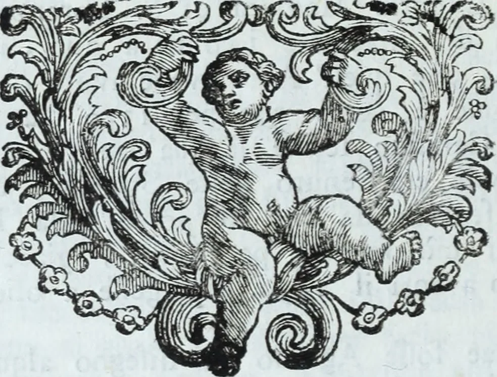 An illustration from Serie degli uomini i più illustri nella pittura, scultura, e architettura : con i loro elogi, e ritratti incisi in rame cominciando dalla sua prima restaurazione fino ai tempi presenti .., 1769, leaf 127