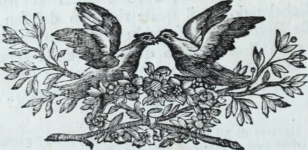 An illustration from Serie degli uomini i più illustri nella pittura, scultura, e architettura : con i loro elogi, e ritratti incisi in rame cominciando dalla sua prima restaurazione fino ai tempi presenti .., 1769, leaf 165