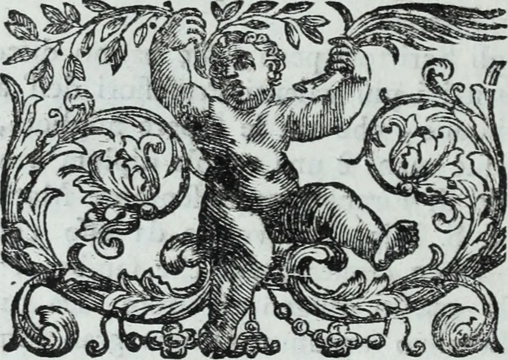 An illustration from Serie degli uomini i più illustri nella pittura, scultura, e architettura : con i loro elogi, e ritratti incisi in rame cominciando dalla sua prima restaurazione fino ai tempi presenti .., 1769, leaf 159