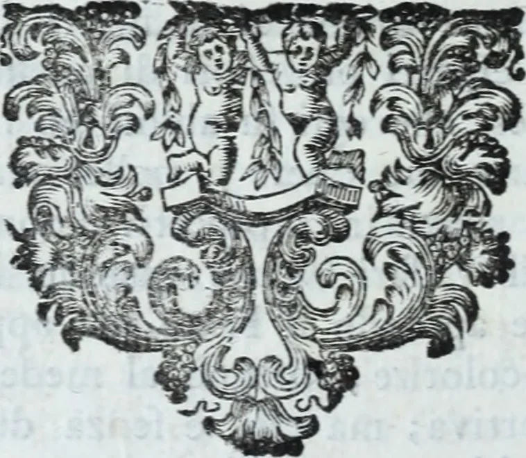 An illustration from Serie degli uomini i più illustri nella pittura, scultura, e architettura : con i loro elogi, e ritratti incisi in rame cominciando dalla sua prima restaurazione fino ai tempi presenti .., 1769, leaf 211