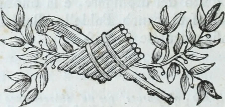 An illustration from Serie degli uomini i più illustri nella pittura, scultura, e architettura : con i loro elogi, e ritratti incisi in rame cominciando dalla sua prima restaurazione fino ai tempi presenti .., 1769, leaf 25