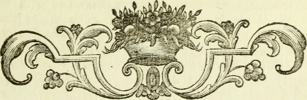 An illustration from Serie degli uomini i più illustri nella pittura, scultura, e architettura : con i loro elogi, e ritratti incisi in rame cominciando dalla sua prima restaurazione fino ai tempi presenti .., 1769, leaf 116