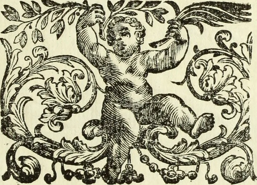 An illustration from Serie degli uomini i più illustri nella pittura, scultura, e architettura : con i loro elogi, e ritratti incisi in rame cominciando dalla sua prima restaurazione fino ai tempi presenti .., 1769, leaf 34
