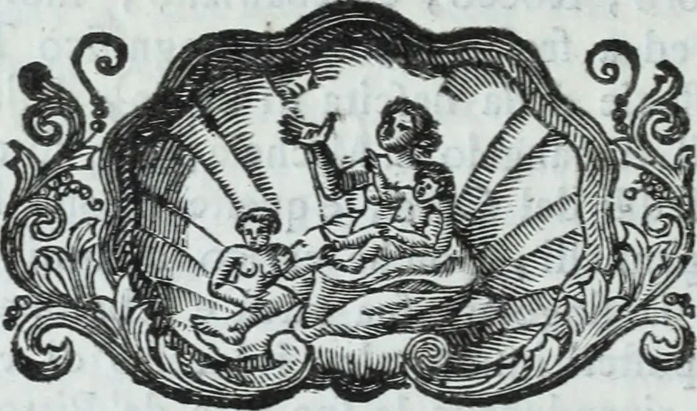 An illustration from Serie degli uomini i più illustri nella pittura, scultura, e architettura : con i loro elogi, e ritratti incisi in rame cominciando dalla sua prima restaurazione fino ai tempi presenti .., 1769, leaf 235