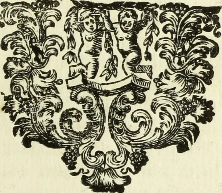 An illustration from Serie degli uomini i più illustri nella pittura, scultura, e architettura : con i loro elogi, e ritratti incisi in rame cominciando dalla sua prima restaurazione fino ai tempi presenti .., 1769, leaf 260