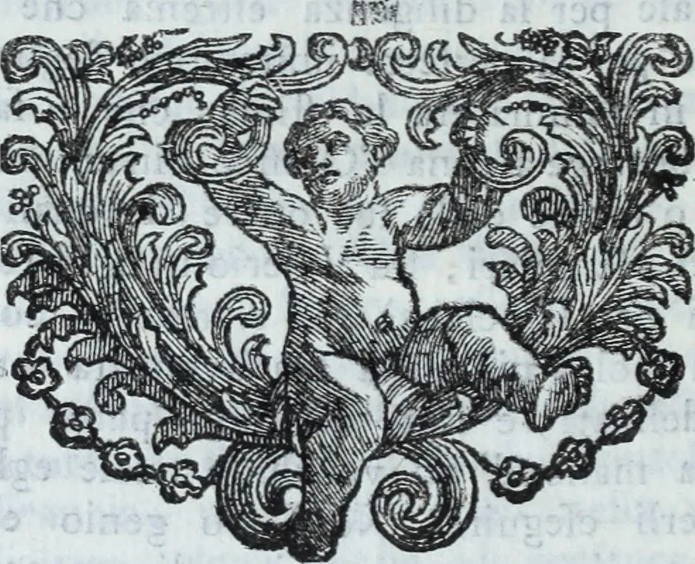 An illustration from Serie degli uomini i più illustri nella pittura, scultura, e architettura : con i loro elogi, e ritratti incisi in rame cominciando dalla sua prima restaurazione fino ai tempi presenti .., 1769, leaf 47
