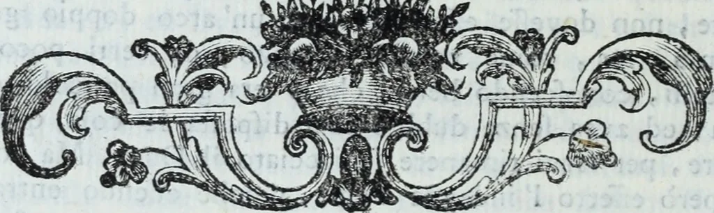 An illustration from Serie degli uomini i più illustri nella pittura, scultura, e architettura : con i loro elogi, e ritratti incisi in rame cominciando dalla sua prima restaurazione fino ai tempi presenti .., 1769, leaf 185