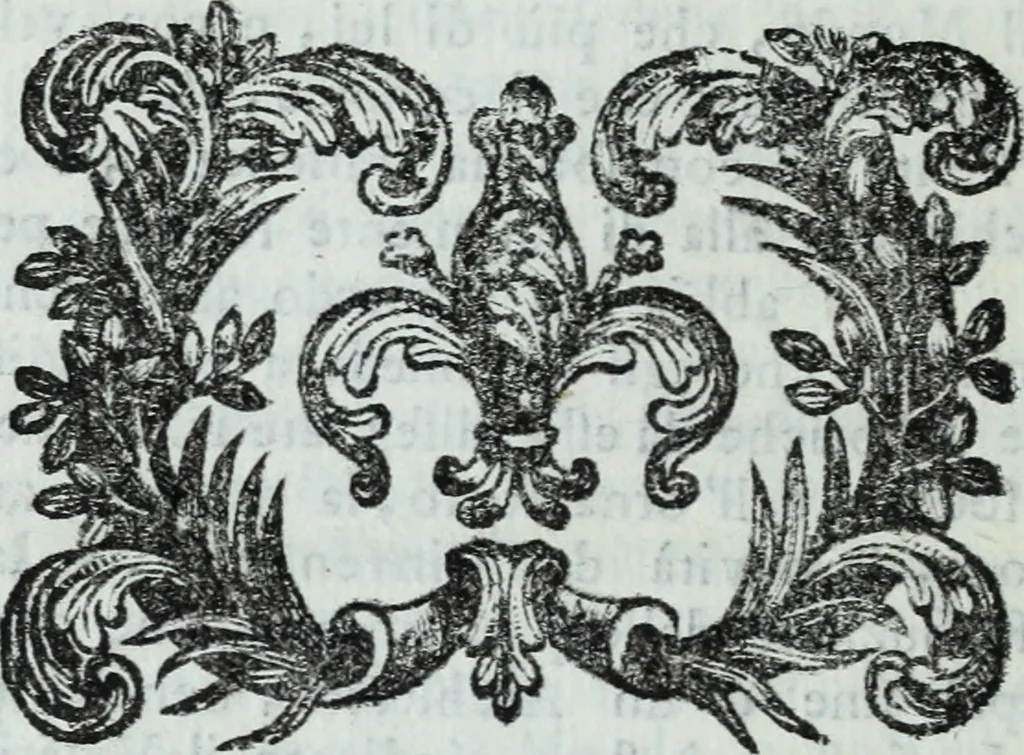 An illustration from Serie degli uomini i più illustri nella pittura, scultura, e architettura : con i loro elogi, e ritratti incisi in rame cominciando dalla sua prima restaurazione fino ai tempi presenti .., 1769, leaf 239