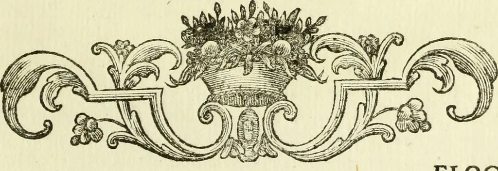 An illustration from Serie degli uomini i più illustri nella pittura, scultura, e architettura : con i loro elogi, e ritratti incisi in rame cominciando dalla sua prima restaurazione fino ai tempi presenti .., 1769, leaf 270
