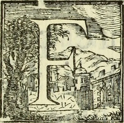 An illustration from Serie degli uomini i più illustri nella pittura, scultura, e architettura : con i loro elogi, e ritratti incisi in rame cominciando dalla sua prima restaurazione fino ai tempi presenti .., 1769, leaf 6
