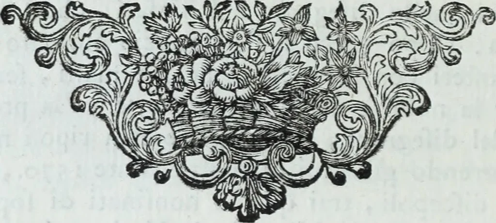 An illustration from Serie degli uomini i più illustri nella pittura, scultura, e architettura : con i loro elogi, e ritratti incisi in rame cominciando dalla sua prima restaurazione fino ai tempi presenti .., 1769, leaf 73